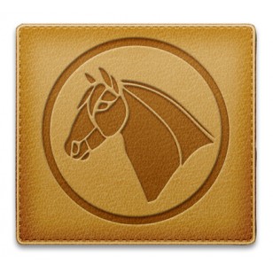 Sample Horse - Sample Image